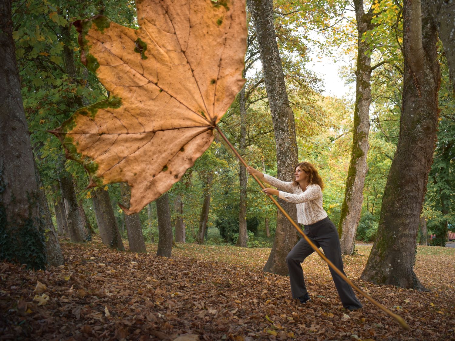 Jantine trekt met al haar kracht aan een reusachtig herfstblad